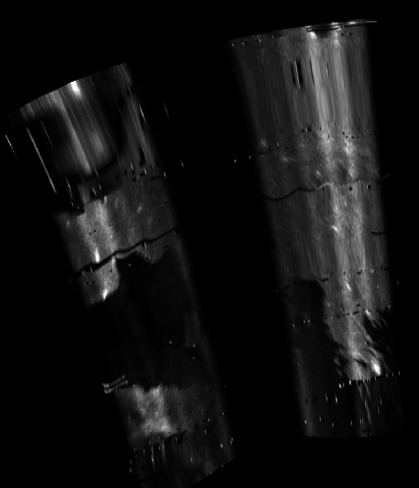 ascat_grayscale_proj_downward.png